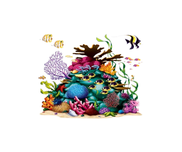 coral product coral product